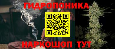 каннабис Берёзовский