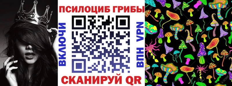 Псилоцибиновые грибы Psilocybe  где купить   Тутаев 