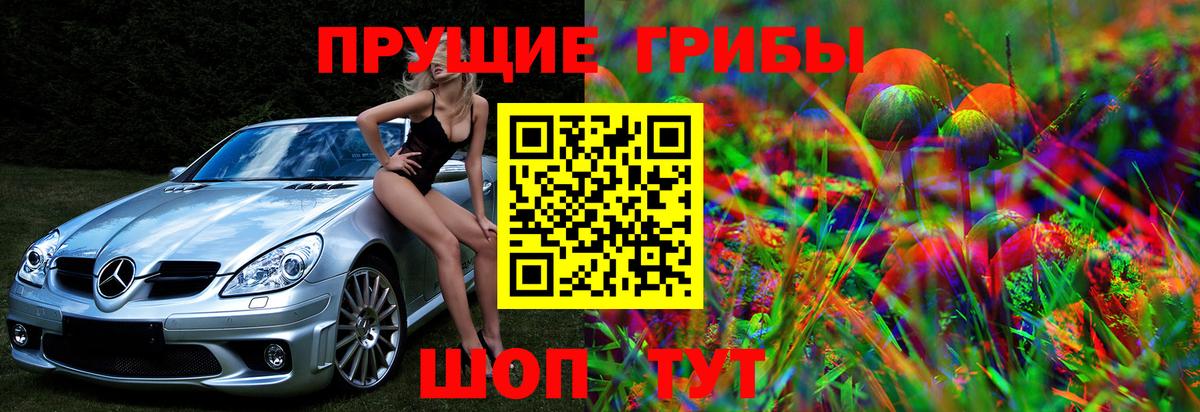 Галлюциногенные грибы Cubensis  Галлюциногенные грибы мухоморы  Вход с VPN  Тутаев 