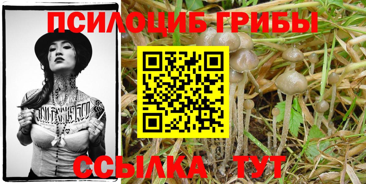 Галлюциногенные грибы мицелий Тутаев